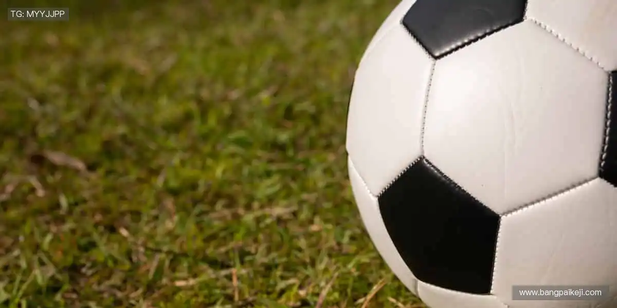 🏀 热血篮球,火力全开!🔥 你的热爱,由我们直播点燃!